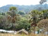view over tsimbazaza
